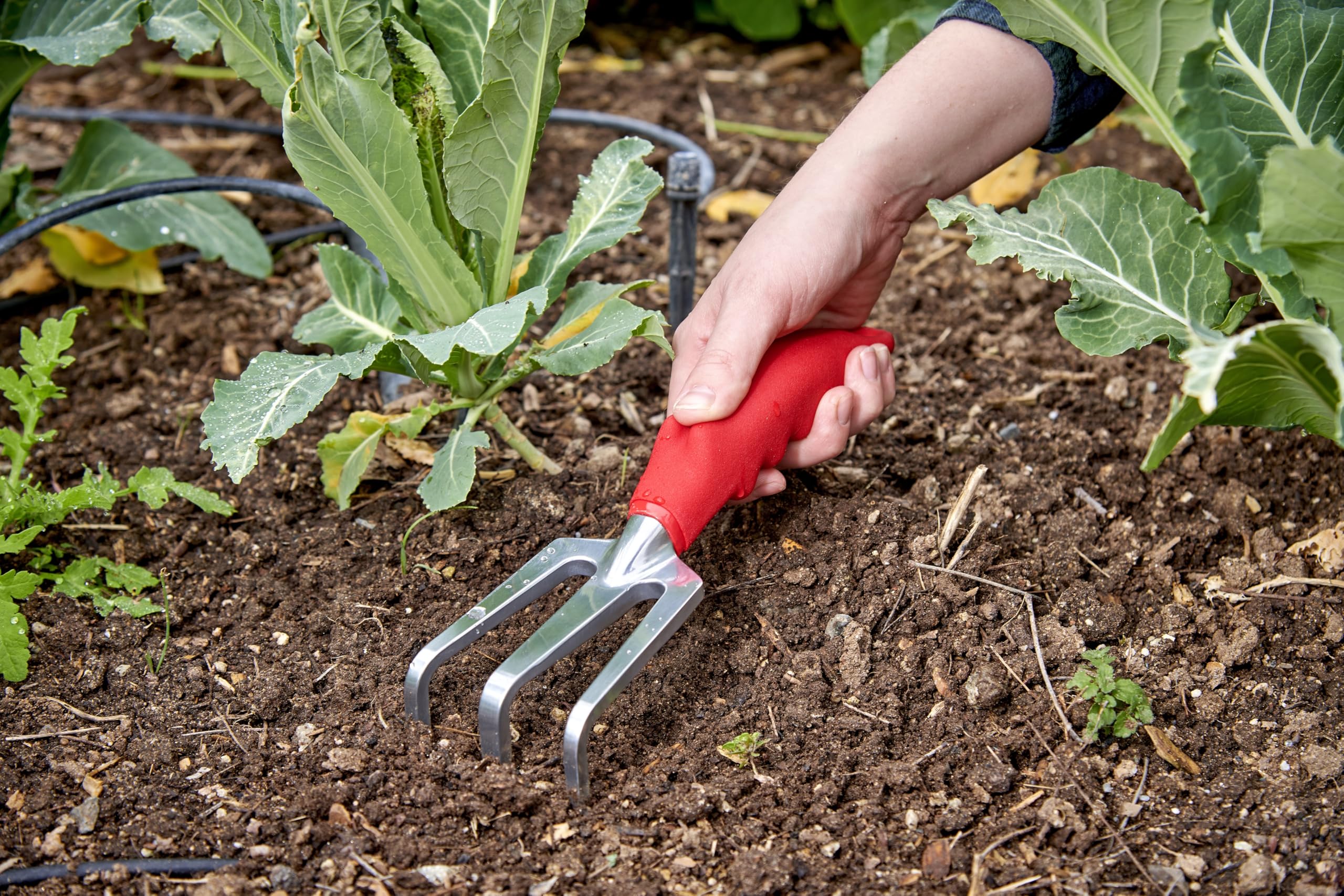 Amazon.com : Corona CT 3030I Comfort Cultivator : Patio, Lawn & Garden